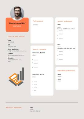 Plantilla gratis en Word para hojas de vida en Colombia de contadores y expertos en contabilidad