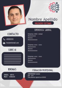 Muestra de CV Gratuito Ingeniero de sistemas