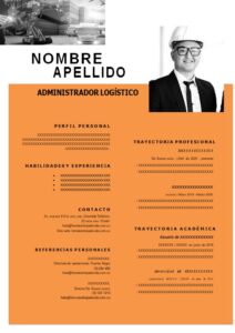 Formato Profesional Gratis Administrador logístico