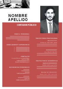 Modelo de Hoja de Vida Profesional Contador público