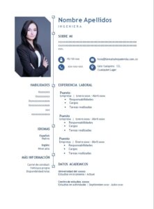 Formato Profesional Para descargar Ingeniero