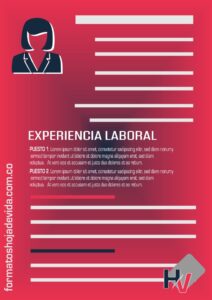 Modelo de Hoja de Vida Profesional Contenido - Experiencia laboral