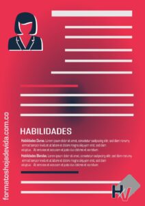 Perfil Profesional Optimizado Contenido - Habilidades profesionales