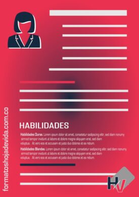 Cómo redactar las habilidades o skills en una hoja de vida